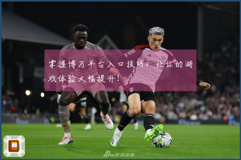 掌握博万平台入口技巧，让你的游戏体验大幅提升！